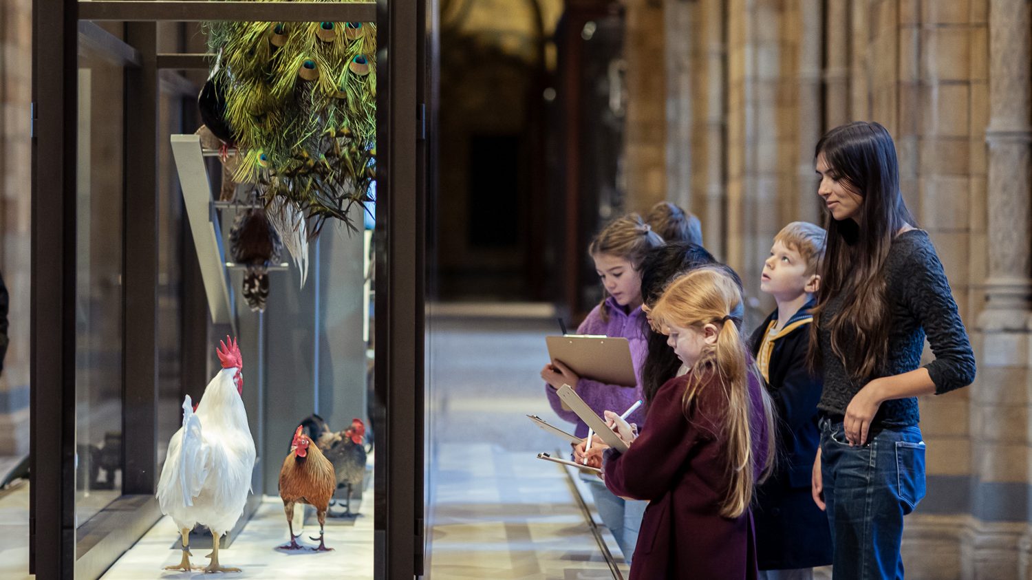 Ornithologist Mya Rose Craig joins children in a drawing activity for The Wild Escape at the Natural History Museum