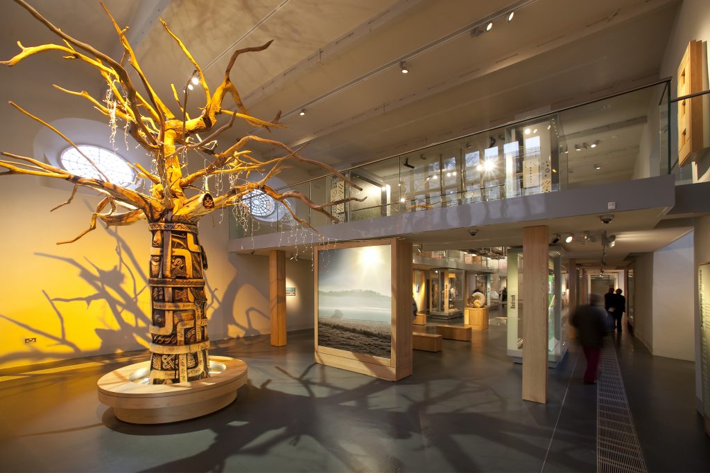 Interior view of Museum of Somerset showing a tree sculpture illuminated in yellow